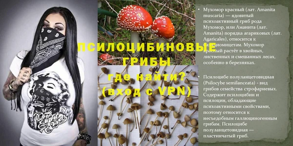 метадон Белокуриха