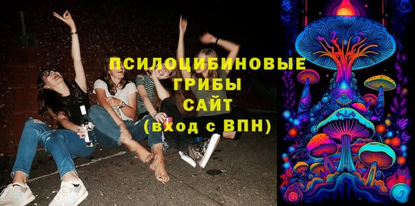 метадон Белокуриха