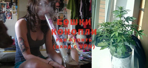 метадон Белокуриха