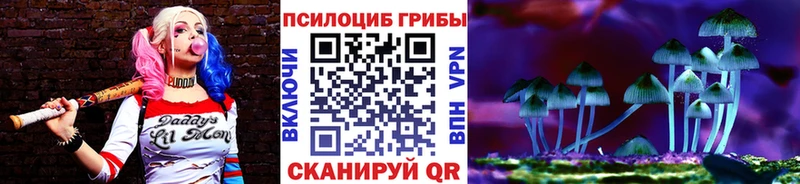 Псилоцибиновые грибы Magic Shrooms  Купить где  Губкин 